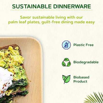 25cm (10") Square Biodegradable Palm Leaf Plates