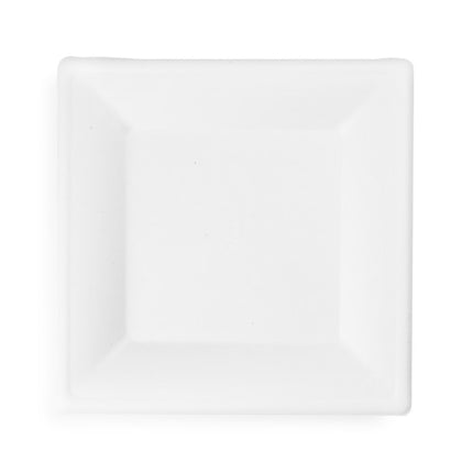 25cm (10") Compostable Square Bagasse Disposable Plates