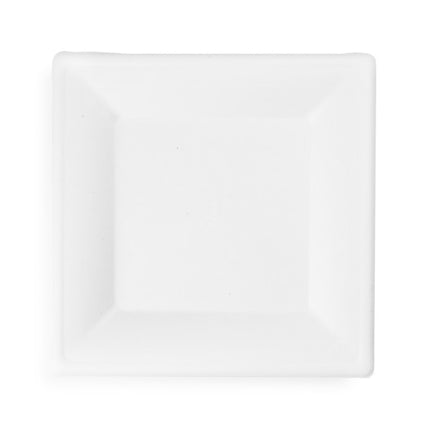 Bulk Square Disposable Bagasse Plates