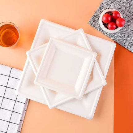 25cm (10") Compostable Square Bagasse Disposable Plates